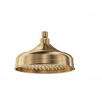 Lillian Shower Head Urban Brass